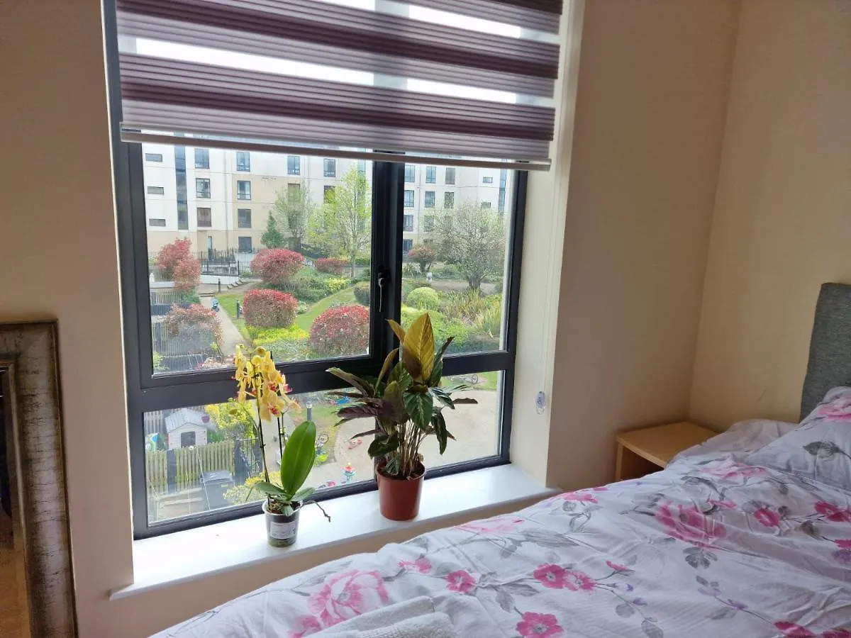 Clearwater Apartment Dublín 0*,